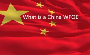 Was ist ein WFOE in China und warum kann man lokale Hilfe erhalten, um Dinge einfacher zu machen?